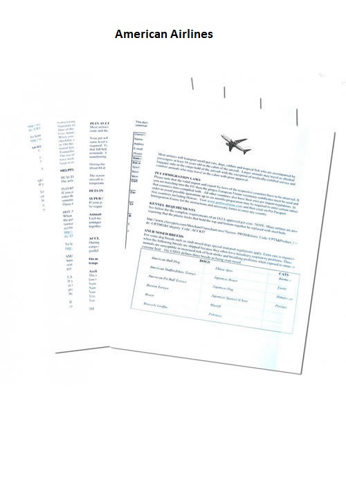 American airlines esa on sale