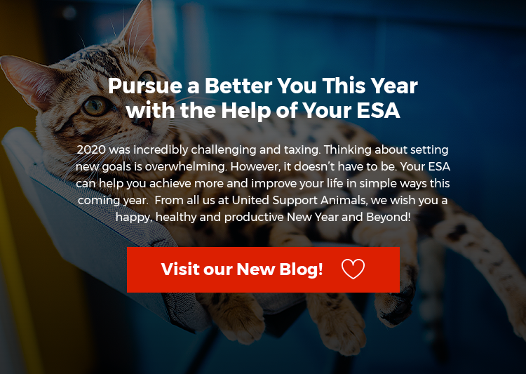 Visit Our ESA Blog