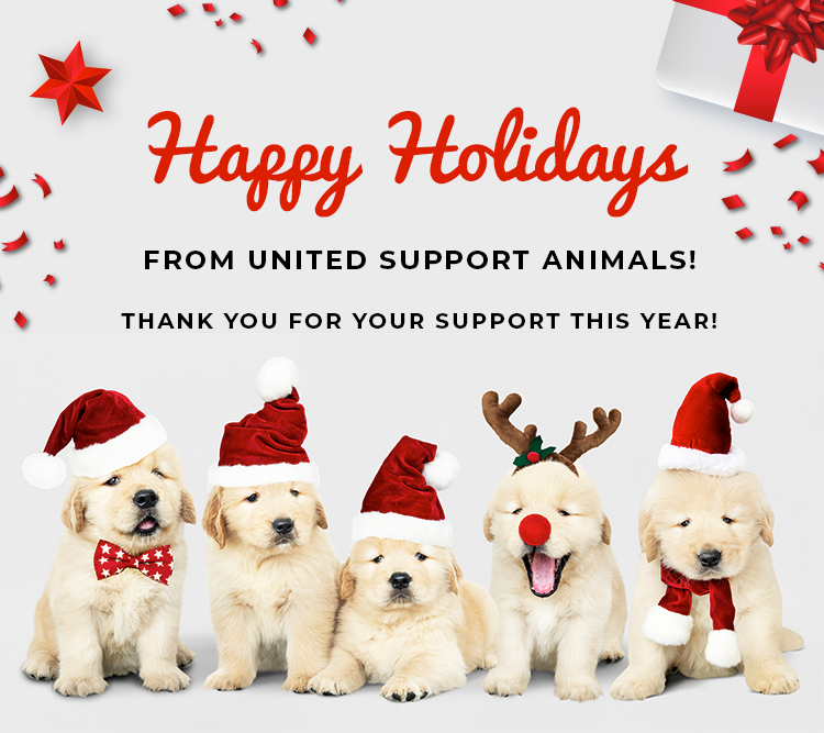 Happy Holidays from United Support Animals