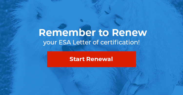 ESA Letter Renewal