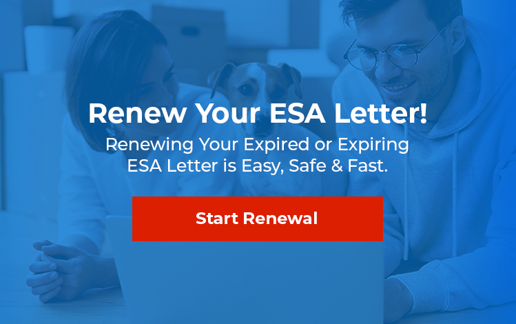 Renewing ESA Letter Made Easy
