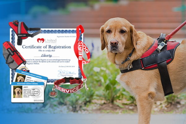 Service Dog Support Animal Registration - United Support Animals Service Dog Support Animal Registration - United Support Animals