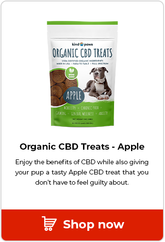 CBD Pet Treats Apple