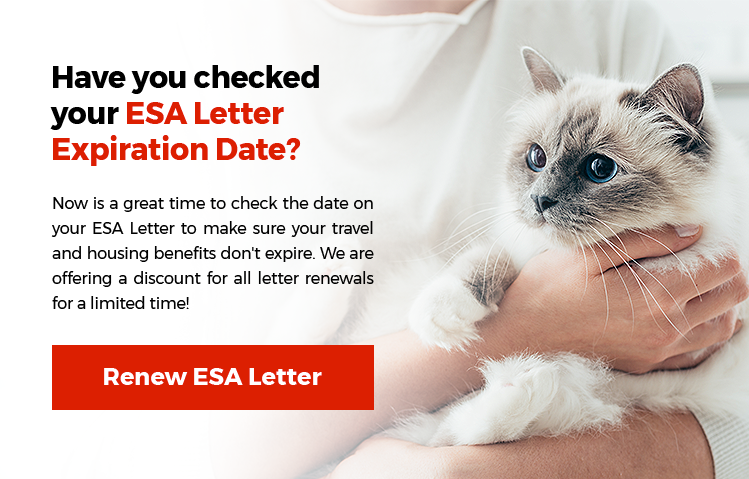 Renew Your ESA Letter