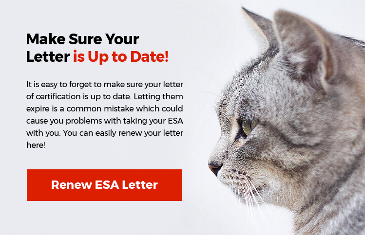 Renew your ESA Letter Today