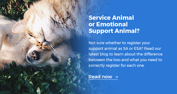 Service Animal or Emotional Support Animal?