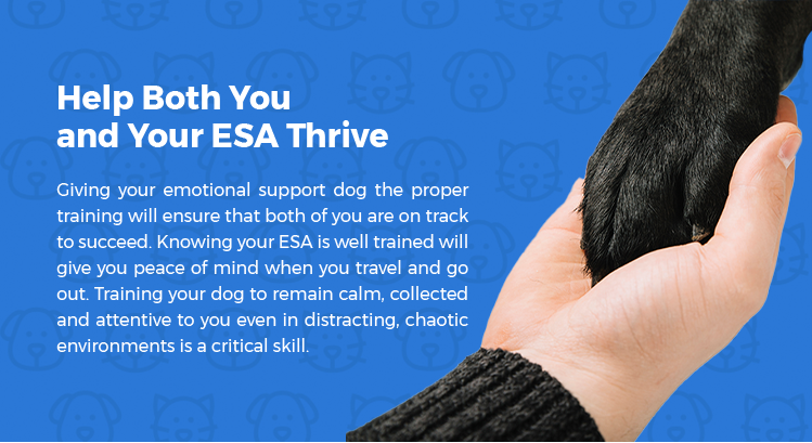 Thrive with your ESA