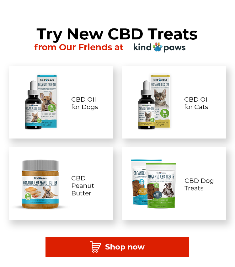 Try CBD Pet Treats