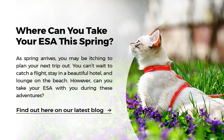 Take Your ESA Out This Spring