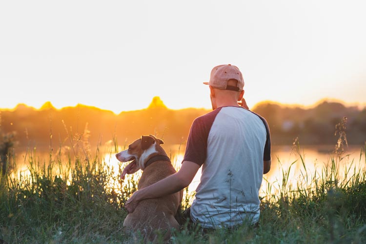 Emotional Support Animals