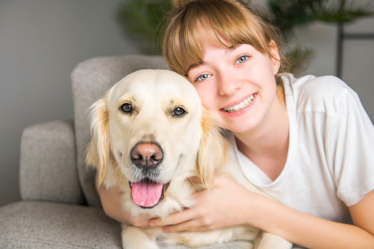 How to Get an Emotional Support Animal Letter of Certification How to Get an Emotional Support Animal Letter of Certification
