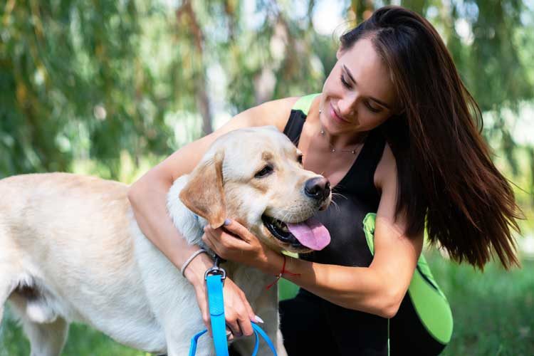 What is a Psychiatric Service Dog?
