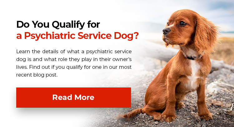 Qualify For Psychiatric Service Dog