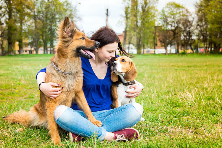 Emotional Support Animals