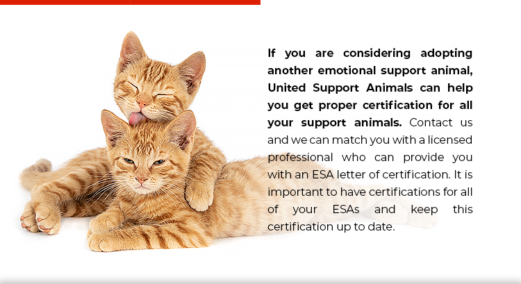 ESA Letter of Certification