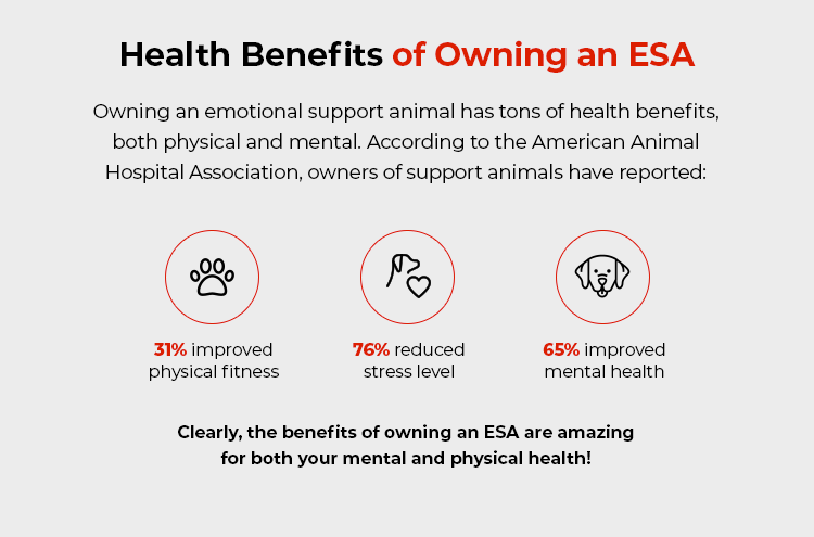 Health Benefits of Owning an ESA