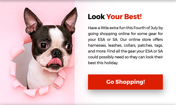 Look Your Best and Shop!