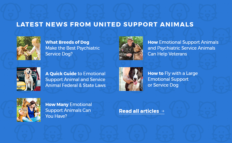Latest News at United Support Animals
