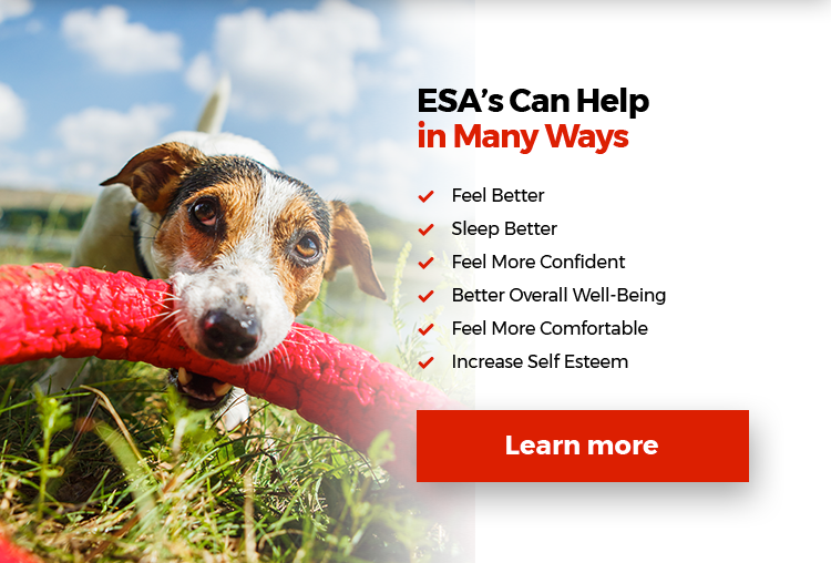 How Can My ESA Help