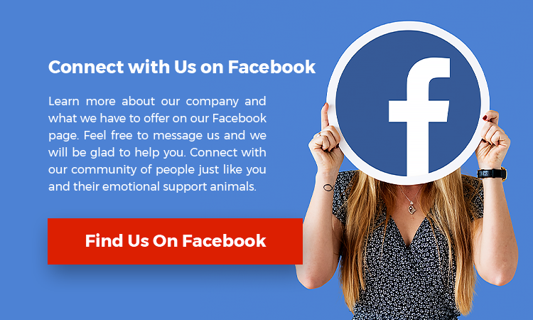 Find us on Facebook