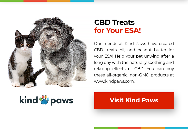CBD Pet Treats