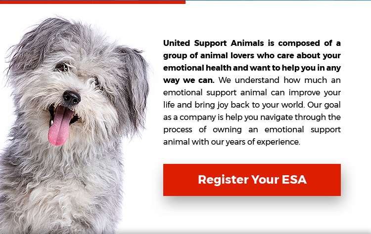 Register Your ESA Today