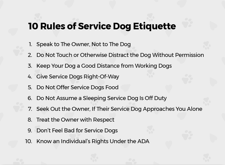 service-dog-rules