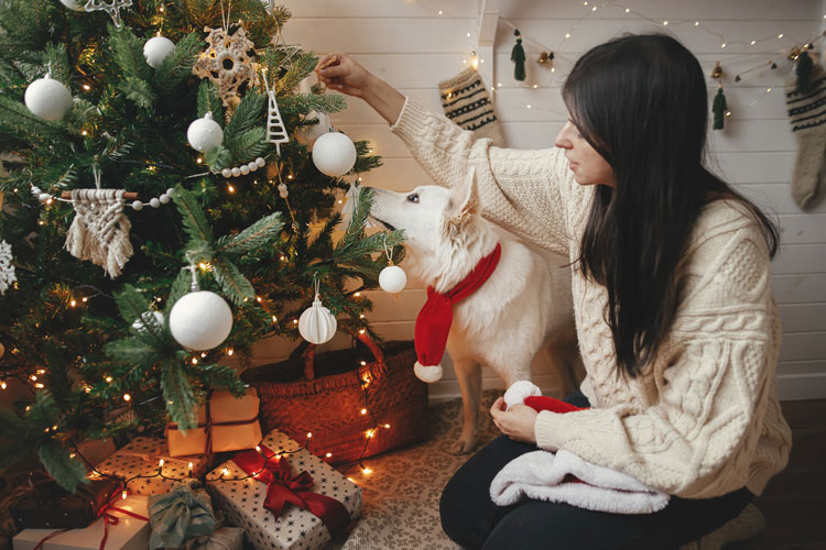 Celebrate the Holidays with Your Emotional Support/Service Dog