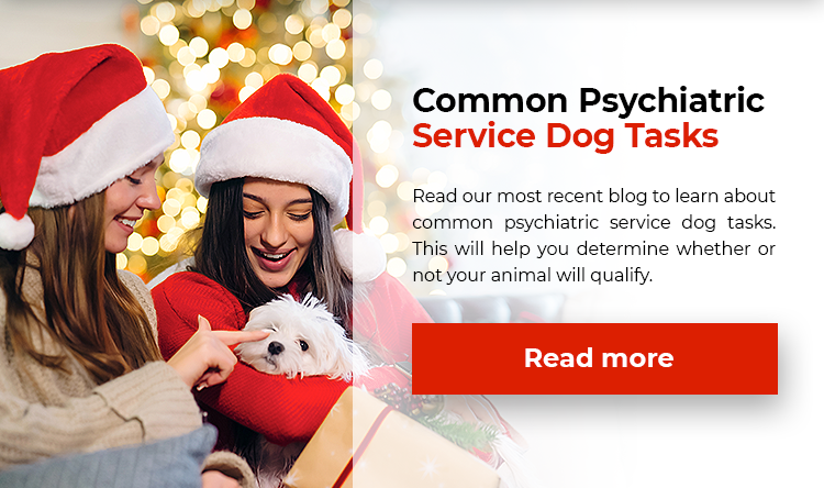 Psychiatric Service Dog Tasks