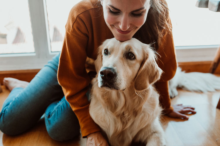 what qualifies a dog as a service dog