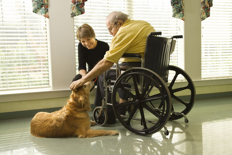 Are Emotional Support Animals Allowed in Nursing Homes?
