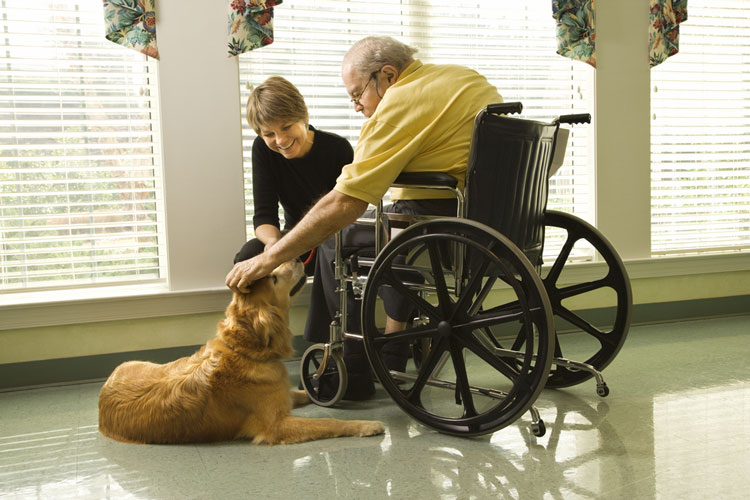 Can Emotional Support Animals Visit Nursing Homes? Regulations Explained