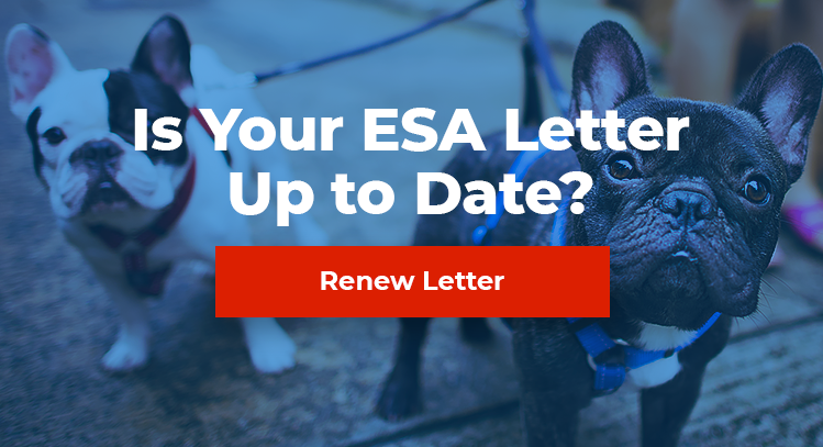 Renew ESA Letter
