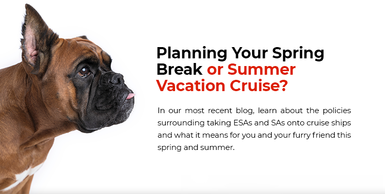 Planning a Spring Vacation?