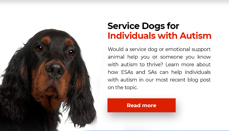 Service Dogs for Autism