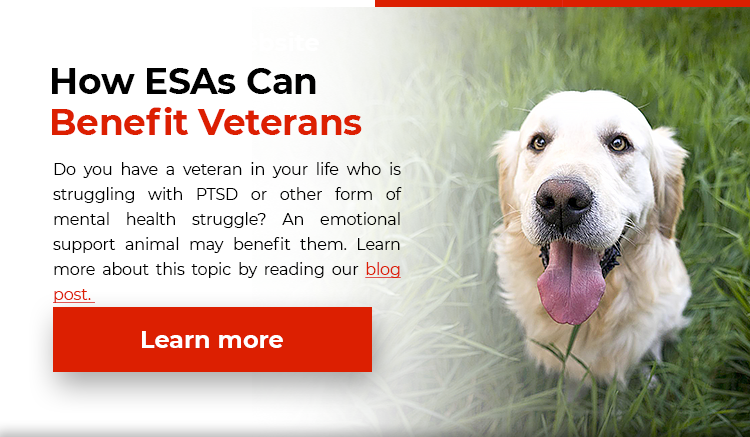 ESA Animals and Veterans