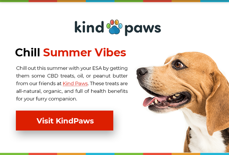KindPaws CBD Pet Products