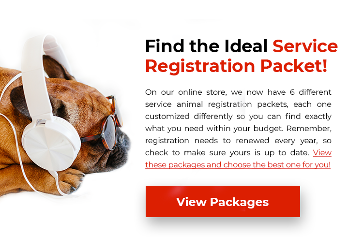 Service Registry Package