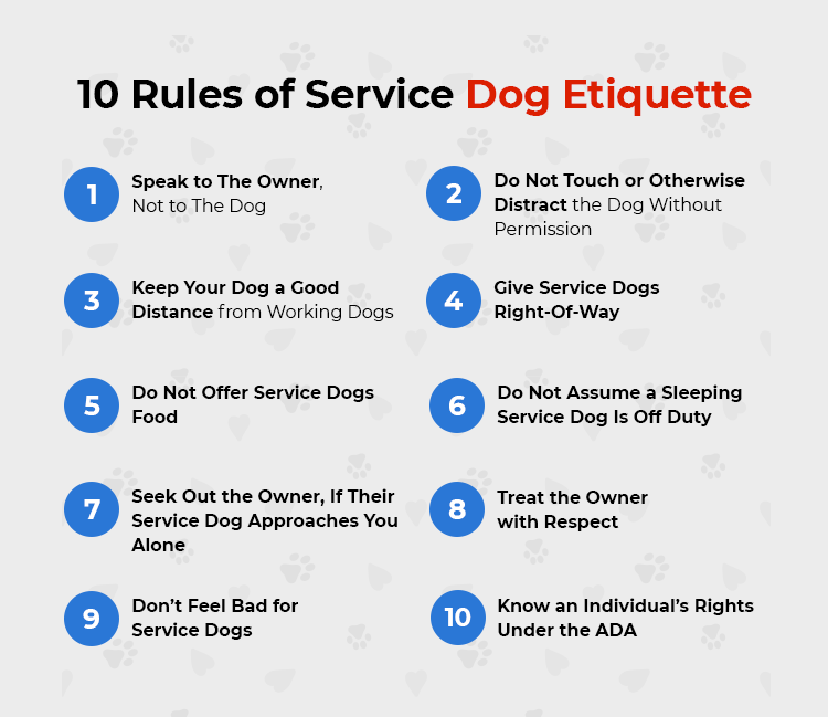 Rules of Service Dog Etiquette