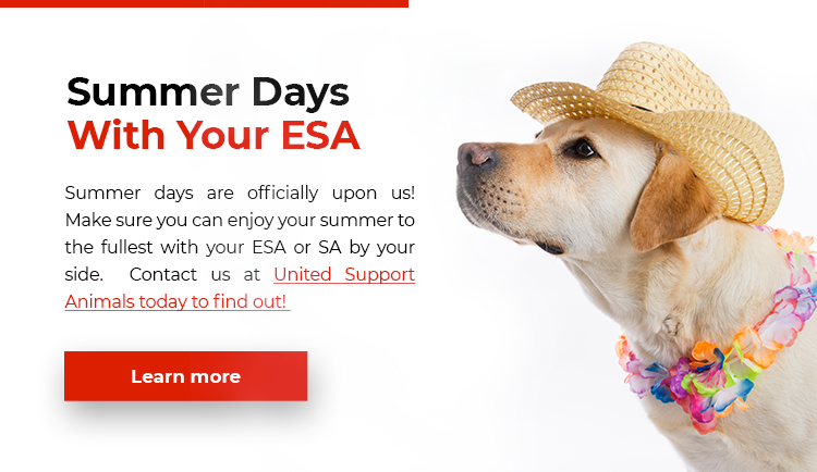 Summer Days with Your ESA
