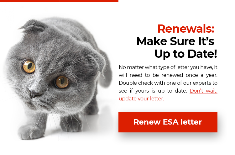 Renew your ESA Letter