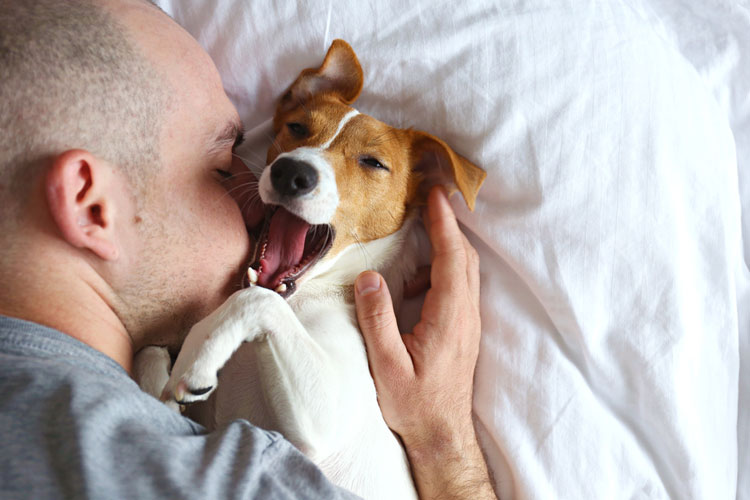 support animal for bipolar