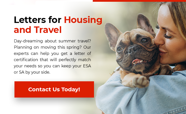 Letters for Housing & Travel