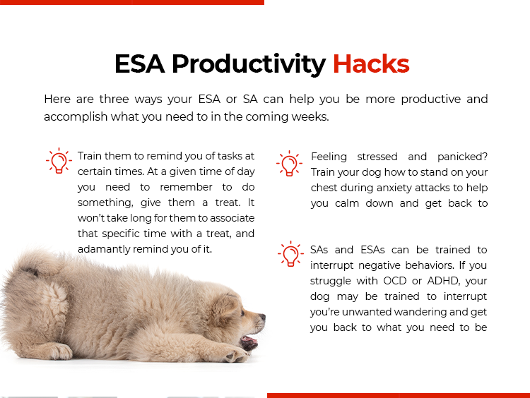 ESA Productivity
