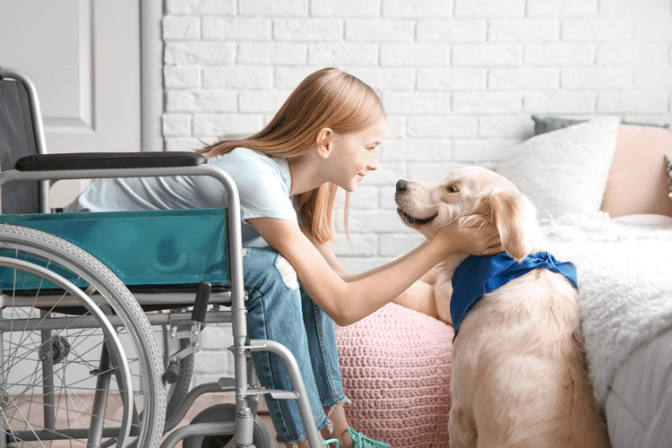 Service Dog Care and Welfare