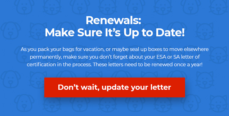 Renew Your Letter