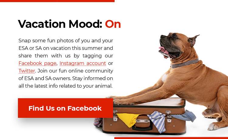 Visit Facebook