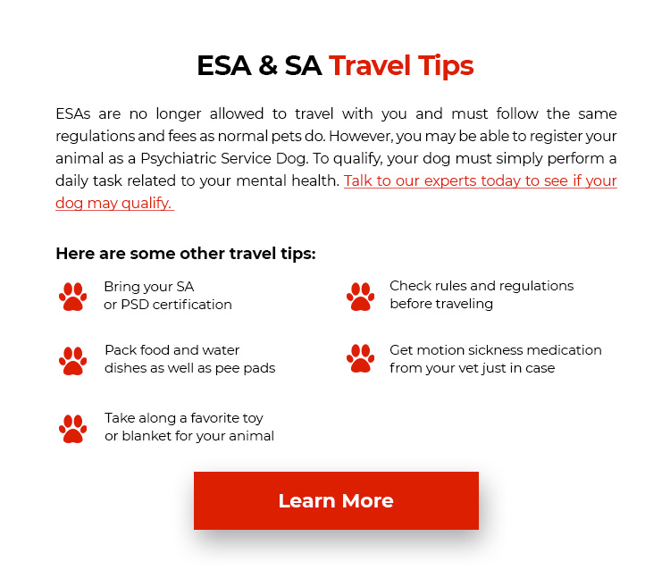 Travel Tips