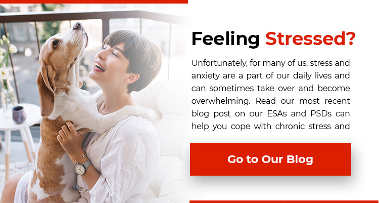 Visit Our Latest Blog