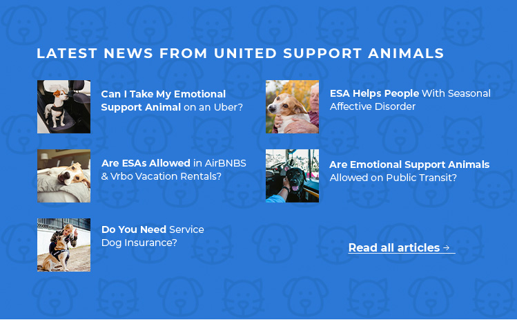 Latest News and Blog